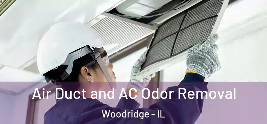 Air Duct and AC Odor Removal Woodridge - IL
