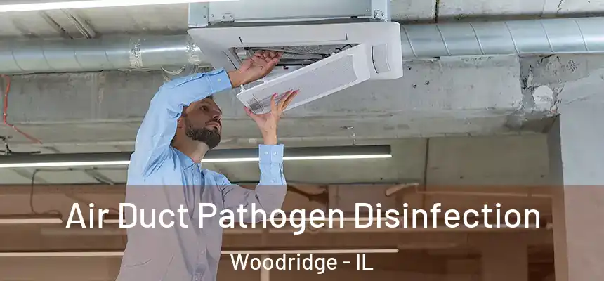 Air Duct Pathogen Disinfection Woodridge - IL