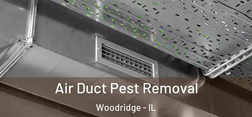  Air Duct Pest Removal Woodridge - IL