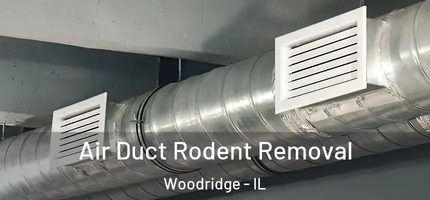  Air Duct Rodent Removal Woodridge - IL