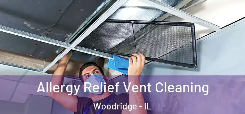 Allergy Relief Vent Cleaning Woodridge - IL