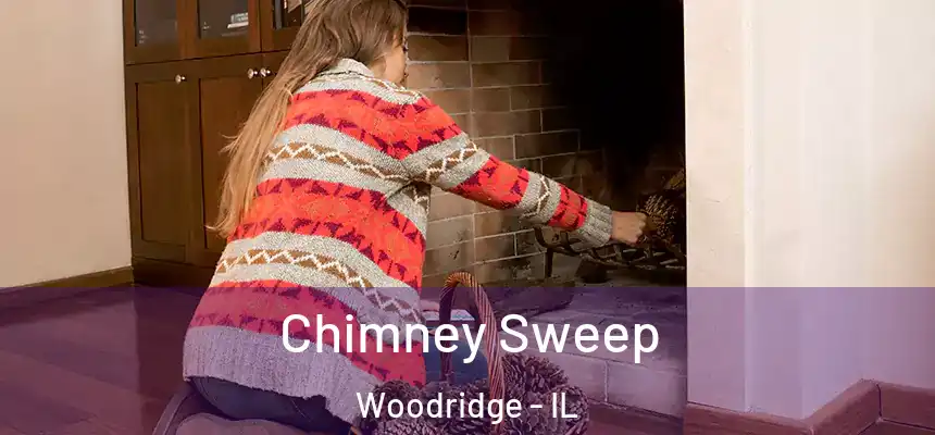  Chimney Sweep Woodridge - IL