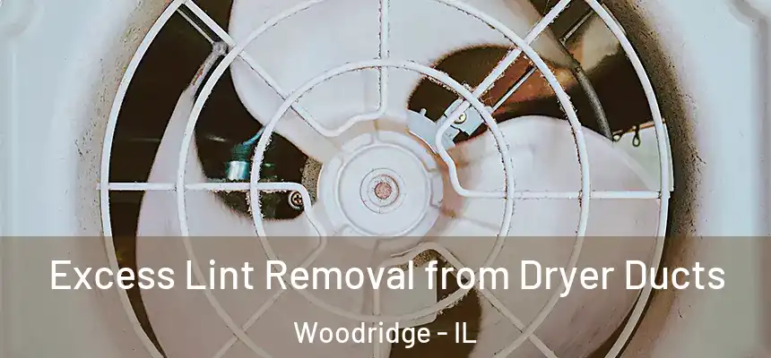 Excess Lint Removal from Dryer Ducts Woodridge - IL