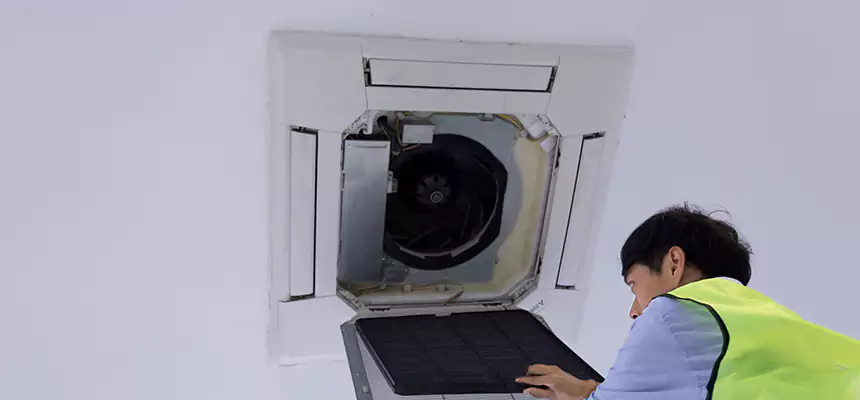 Our Dryer Vent Sanitization Service Services in Woodridge, IL