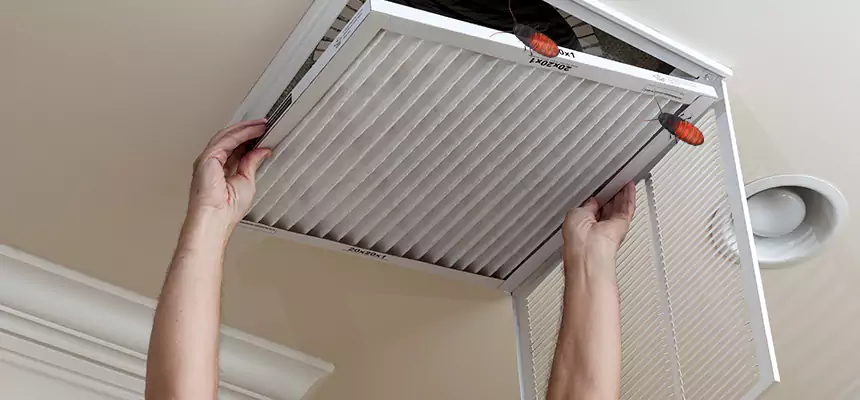 Our Insect Removal from Air Ducts Services in Woodridge, IL