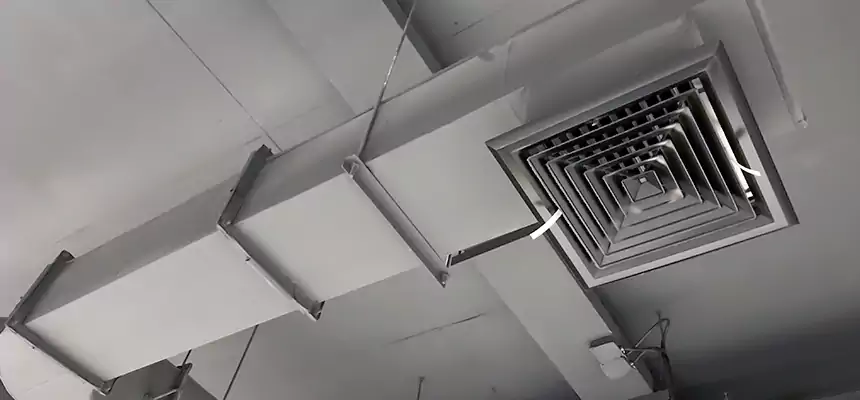 Our Pest Removal From Ducts Services in Woodridge, IL