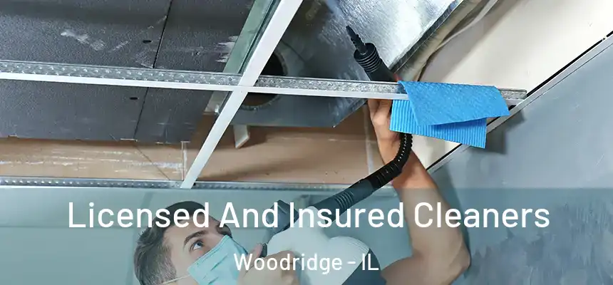 Licensed And Insured Cleaners Woodridge - IL