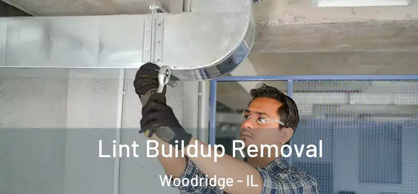  Lint Buildup Removal Woodridge - IL
