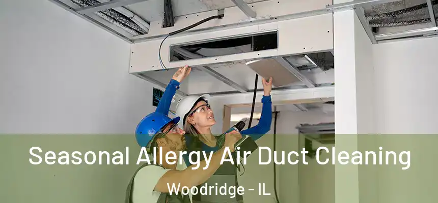  Seasonal Allergy Air Duct Cleaning Woodridge - IL