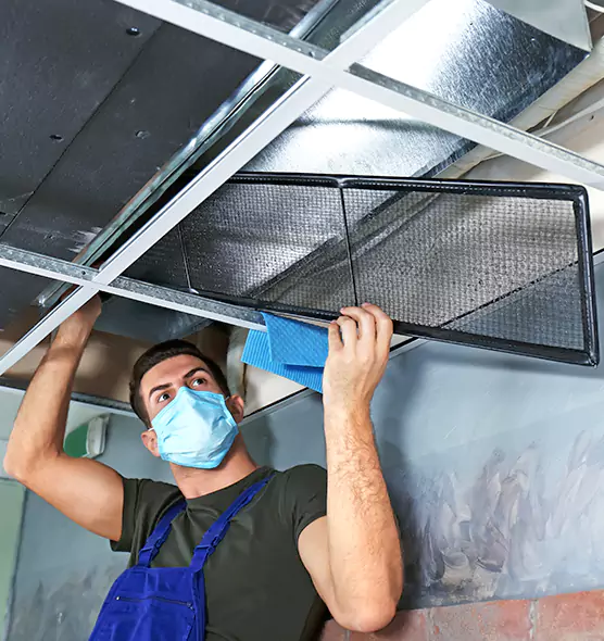 About Air Duct Bacteria Removal in Woodridge