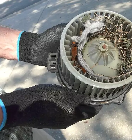 About Air Duct Mice Removal in Woodridge, IL