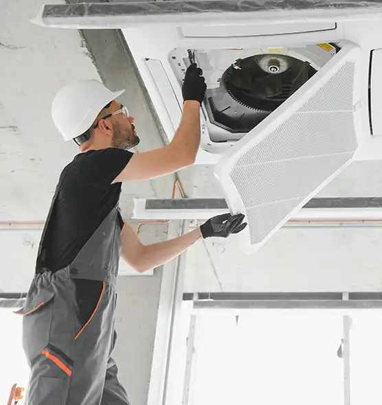 About Air Duct Rodent Removal in Woodridge, IL