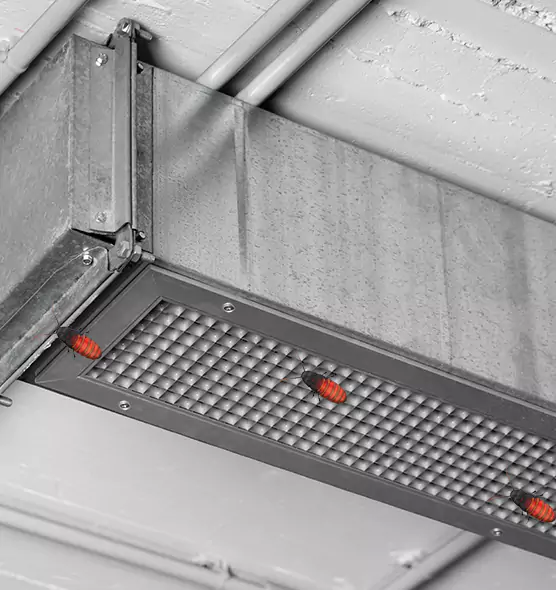 Affordable Insect Removal from Air Ducts in Woodridge, IL