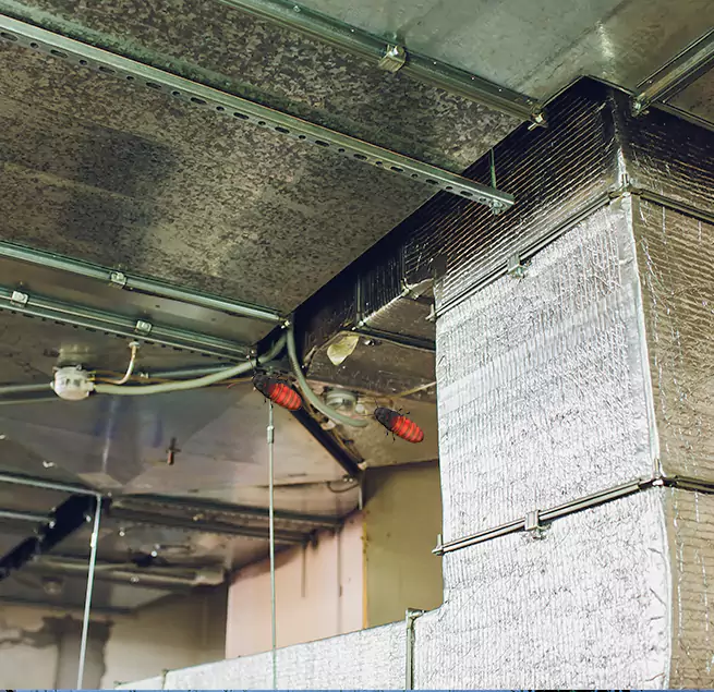 Why Homeowners & Businesses Trust Us in Woodridge, IL?