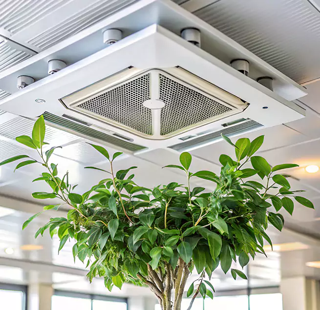 Why Homeowners & Businesses Trust Us in Woodridge, IL?