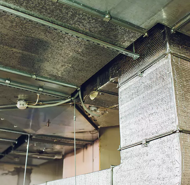 Why Homeowners & Businesses Trust Us in Woodridge, IL?